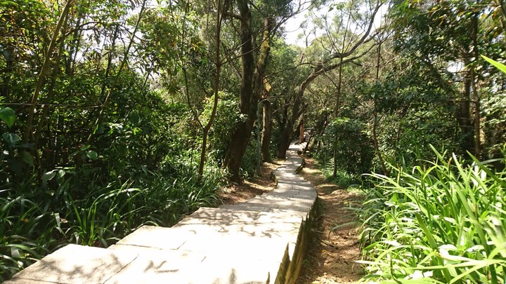 [樂山童盟] [台北文山] 仙跡岩登山步道（景興路243巷登山口-景美山“溪子口山”-麥田山莊登山口）