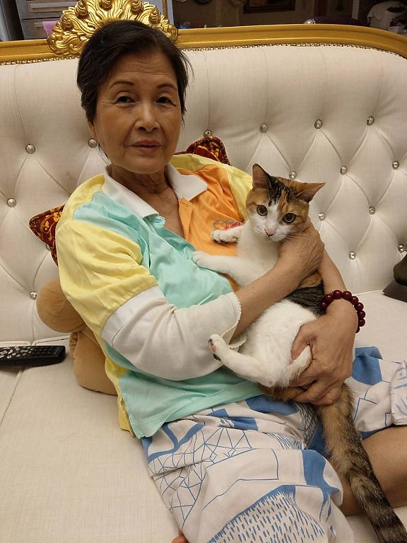感動人心 鄭美妹家人捐助照生會美妹號貓狗結紮車