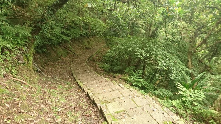 [樂山童盟] [新北平溪] 石筍尖登山步道