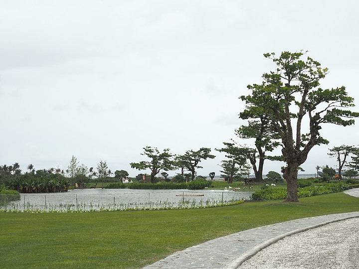 花蓮市 將軍府、松園別館、台開心農場、星巴克洄瀾門市、晨研早午餐 —梅雨季中的花蓮旅行,第一部