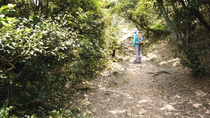 [樂山童盟] [新北瑞芳] 半屏山登山步道