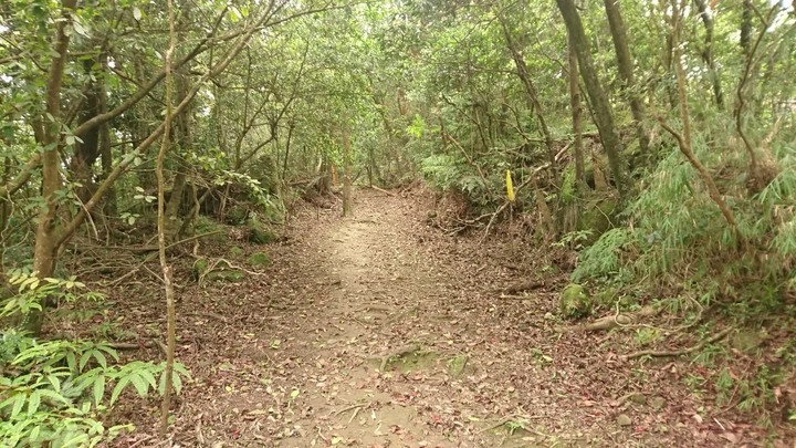 [樂山童盟] [新北平溪] 石筍尖登山步道