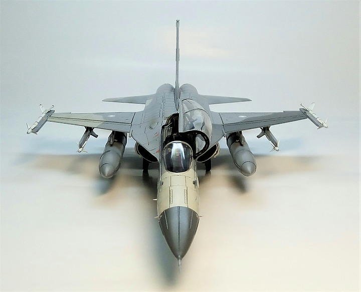 點我看大圖 FREEDOM 1/48 F-CK-1D 經國號戰機