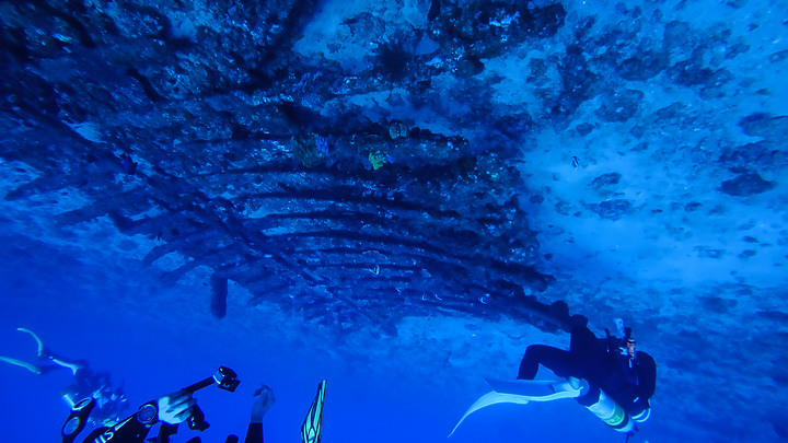 第一次的合界船潛，水清無流輕鬆玩