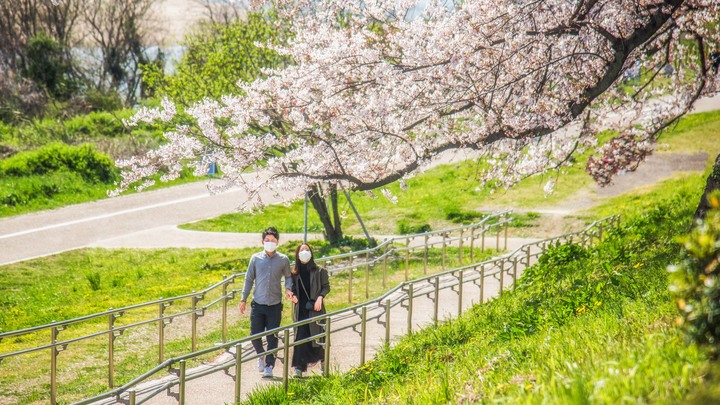 D750｜桜ぱっと咲いて 最初的櫻花季