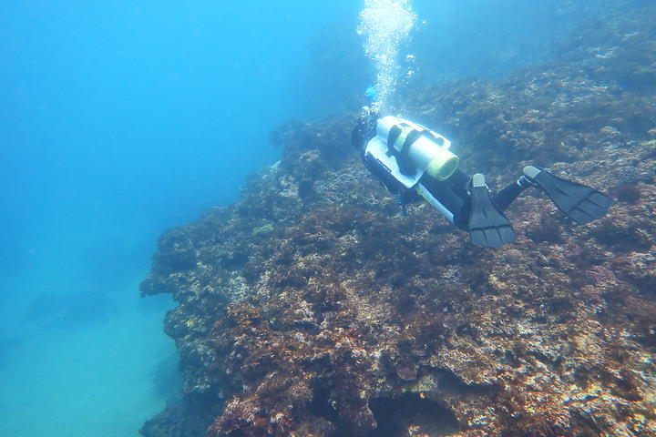 (映像分享) 安心潛進、輕鬆享樂 in 新北市龍洞 【Open Water Diver/開放水域潛水員教學】feat.海洋星球潛水訓練中心 & Canon PowerShot G1 X Mark III