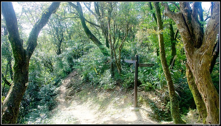點我看大圖 〖大尖山步道〗、【四分尾山】、【大尖山】