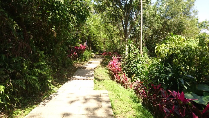 [樂山童盟] [台北文山] 仙跡岩登山步道（景興路243巷登山口-景美山“溪子口山”-麥田山莊登山口）
