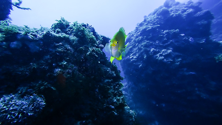 第一次的合界船潛，水清無流輕鬆玩