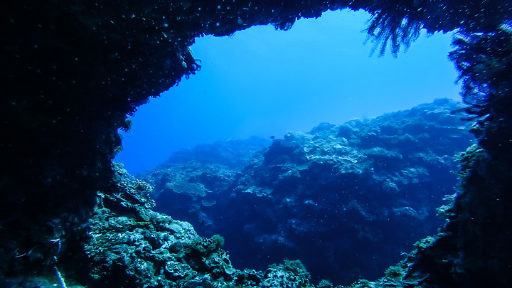 第一次的合界船潛，水清無流輕鬆玩