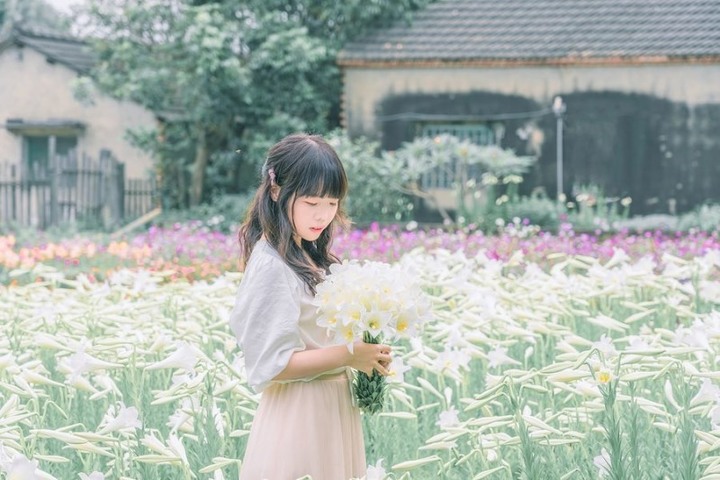 【雲林│遊記】初夏限定絕美花景免費拍！雲林四湖「百合花海」夢幻綻放