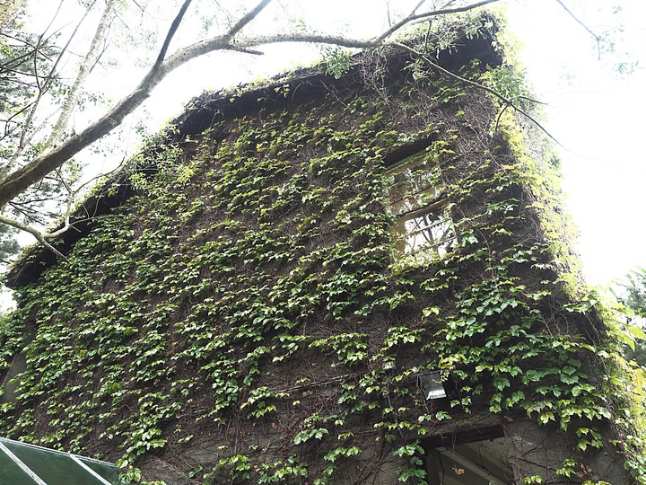 花蓮市 將軍府、松園別館、台開心農場、星巴克洄瀾門市、晨研早午餐 —梅雨季中的花蓮旅行,第一部