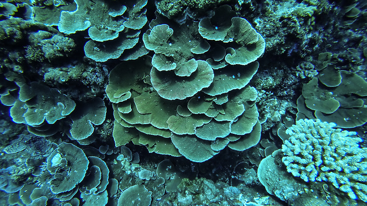 第一次的合界船潛，水清無流輕鬆玩