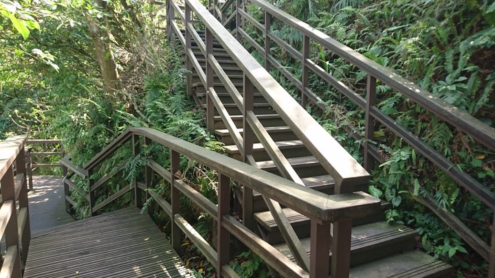 [樂山童盟] [台北文山] 仙跡岩登山步道（景興路243巷登山口-景美山“溪子口山”-麥田山莊登山口）