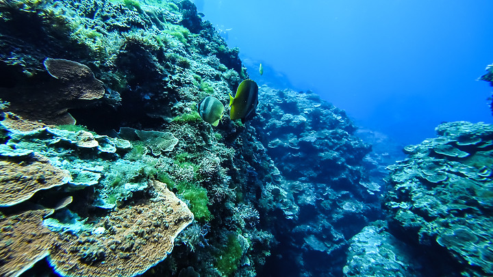 第一次的合界船潛，水清無流輕鬆玩