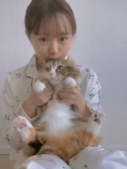 貓奴注意!研究曝貓咪會互相傳染武肺