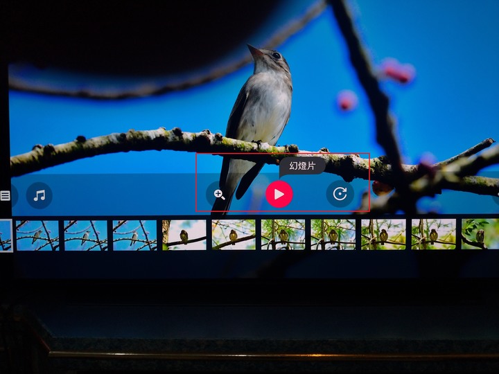 【開箱文】家裡第一部OLED電視LG OLED65C9PWA