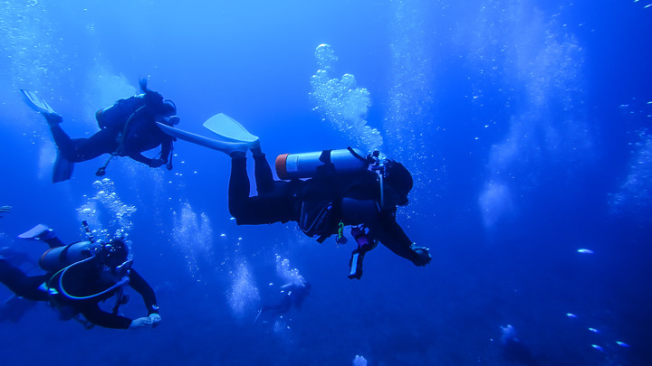第一次的合界船潛，水清無流輕鬆玩