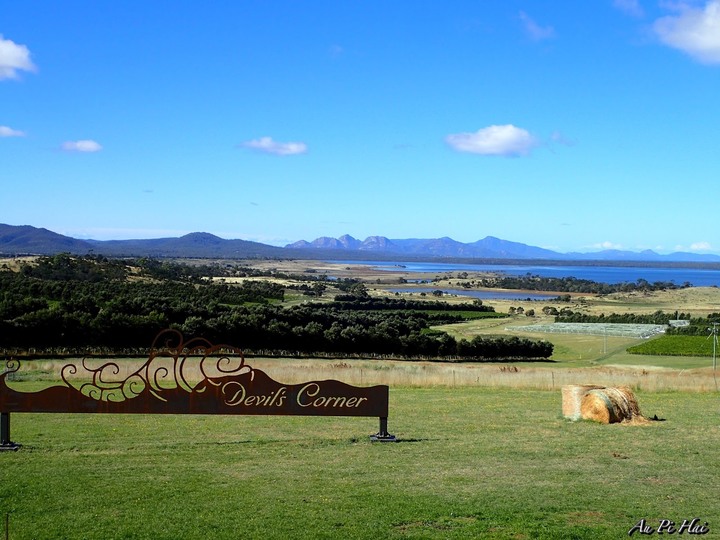 【塔斯絕美景點】Devils' Corner 酒莊。Freycinet National Park國家公園 Wineglass Bay。Cape Tourville Lighthouse, Sleepy Bay