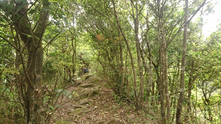 [樂山童盟] [新北平溪] 石筍尖登山步道