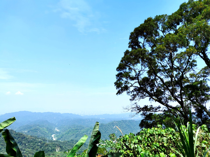 小百岳|台中|暗影山|台灣千尺以下最高峰|新社區