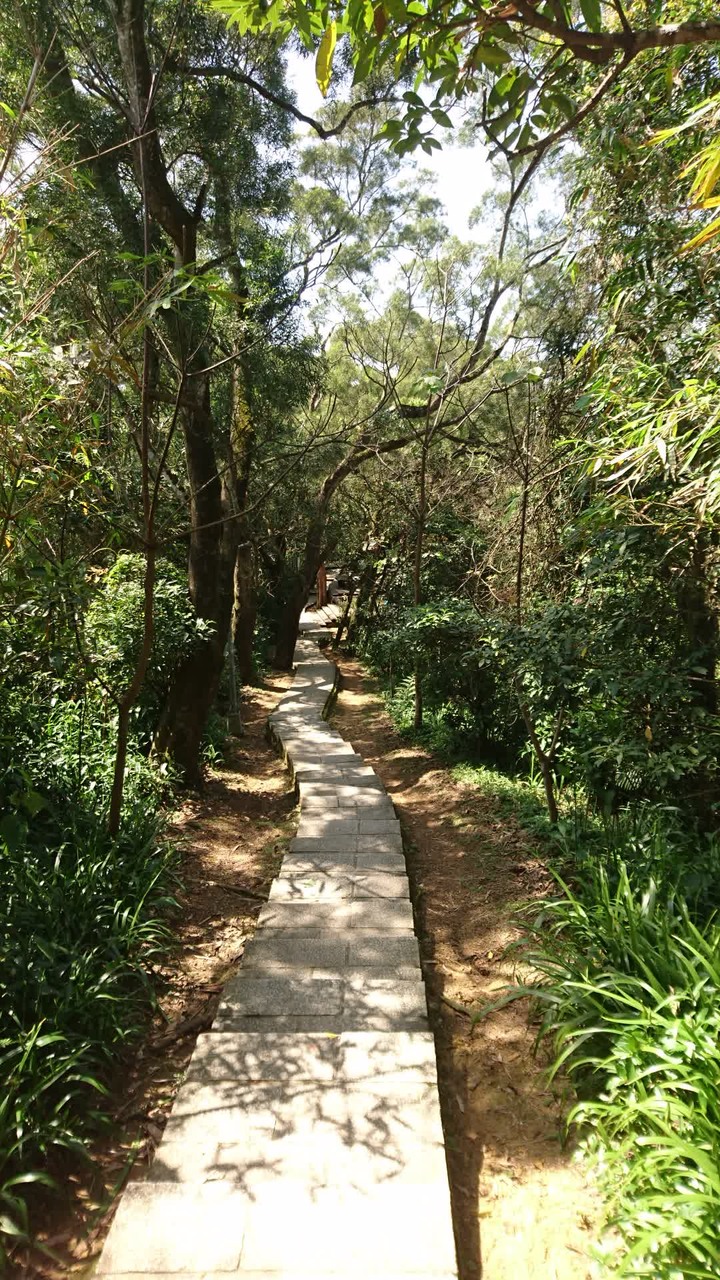 [樂山童盟] [台北文山] 仙跡岩登山步道（景興路243巷登山口-景美山“溪子口山”-麥田山莊登山口）