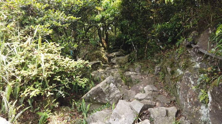 [樂山童盟] [新北瑞芳] 半屏山登山步道
