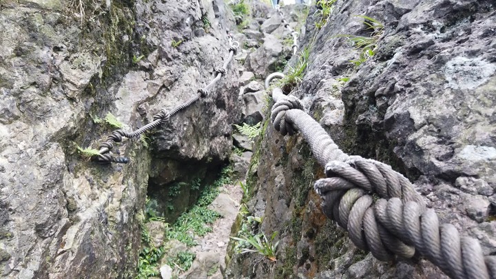 [樂山童盟] [新北瑞芳] 半屏山登山步道