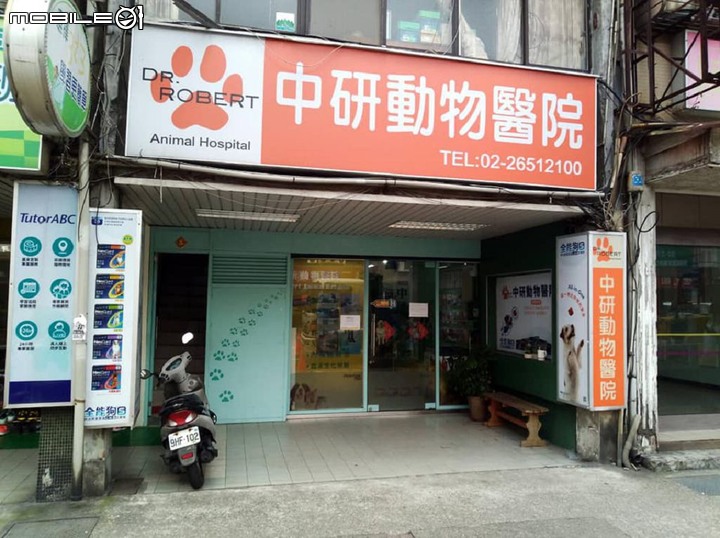 浪浪的守護者照生會貓狗119 救援腹水嚴重的虎斑狗