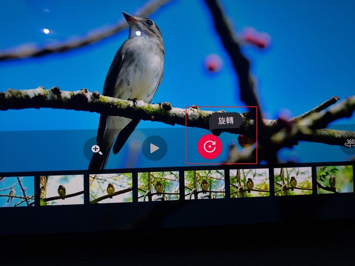 【開箱文】家裡第一部OLED電視LG OLED65C9PWA