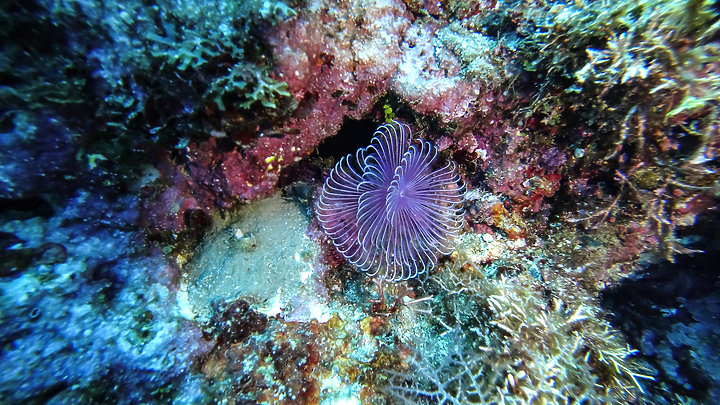 第一次的合界船潛，水清無流輕鬆玩