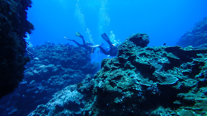 第一次的合界船潛，水清無流輕鬆玩