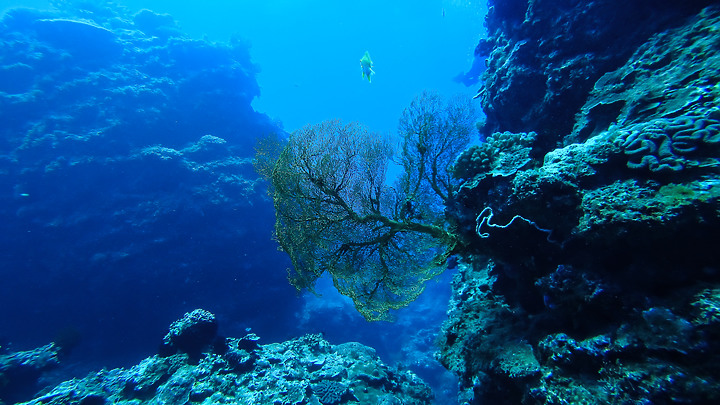 第一次的合界船潛，水清無流輕鬆玩