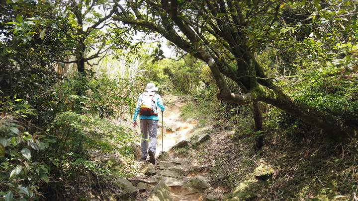 [樂山童盟] [新北瑞芳] 半屏山登山步道