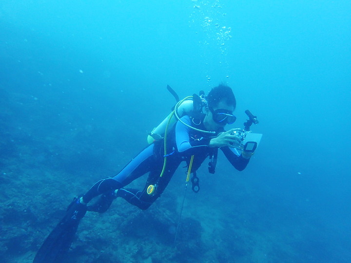 (映像分享) 安心潛進、輕鬆享樂 in 新北市龍洞 【Open Water Diver/開放水域潛水員教學】feat.海洋星球潛水訓練中心 & Canon PowerShot G1 X Mark III