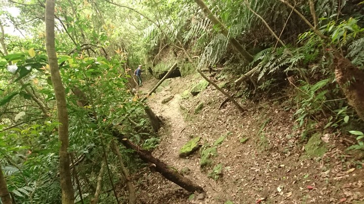 [樂山童盟] [新北平溪] 石筍尖登山步道