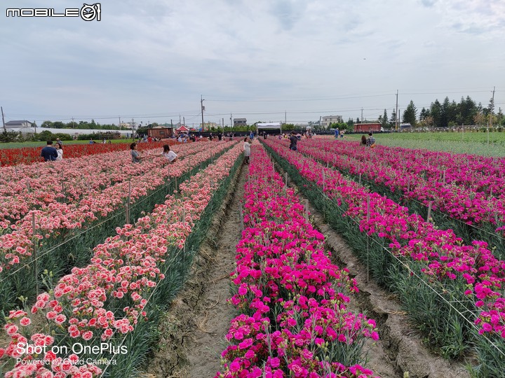 [ 開箱 ] OnePlus 8 Pro – 旗艦手機殺手、精緻的螢幕、流暢的系統