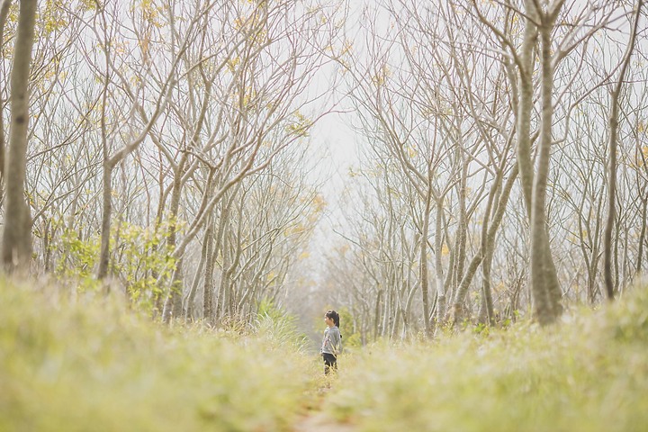 眼裡的蘋果：記錄女兒的成長〔EOS 6D、6D2、RP〕