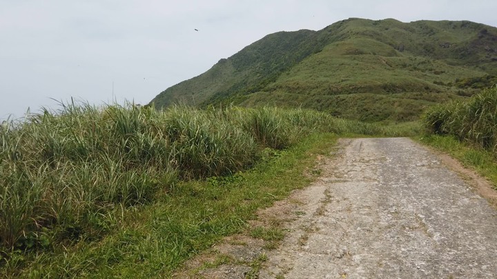 [樂山童盟] [新北瑞芳] 半屏山登山步道
