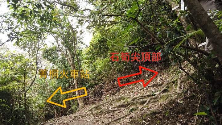 [樂山童盟] [新北平溪] 石筍尖登山步道
