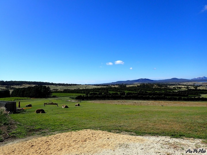 【塔斯絕美景點】Devils' Corner 酒莊。Freycinet National Park國家公園 Wineglass Bay。Cape Tourville Lighthouse, Sleepy Bay