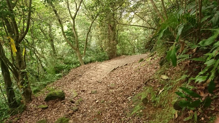 [樂山童盟] [新北平溪] 石筍尖登山步道