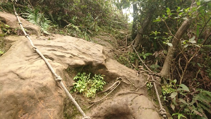 [樂山童盟] [新北平溪] 石筍尖登山步道