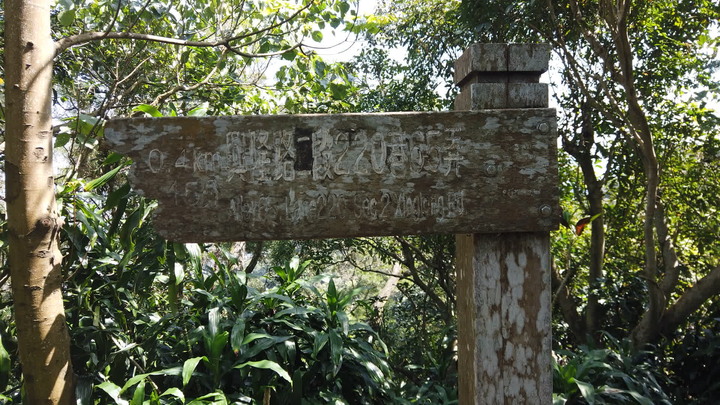 [樂山童盟] [台北文山] 仙跡岩登山步道（景興路243巷登山口-景美山“溪子口山”-麥田山莊登山口）