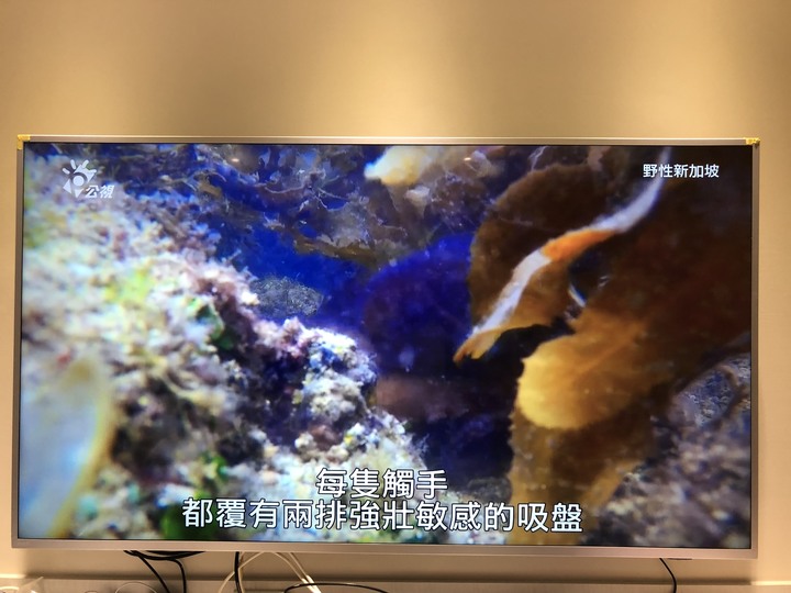 Philips 70PUH7374 心得分享