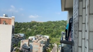田野調查