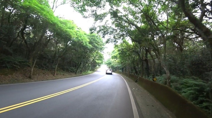 山上有個富貴角?|美人樹大道|三芝田心|淡水老街蛋餅外酥內嫩|油桐花海 【台北單車go百K系列】