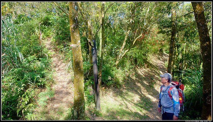 點我看大圖 〖大尖山步道〗、【四分尾山】、【大尖山】