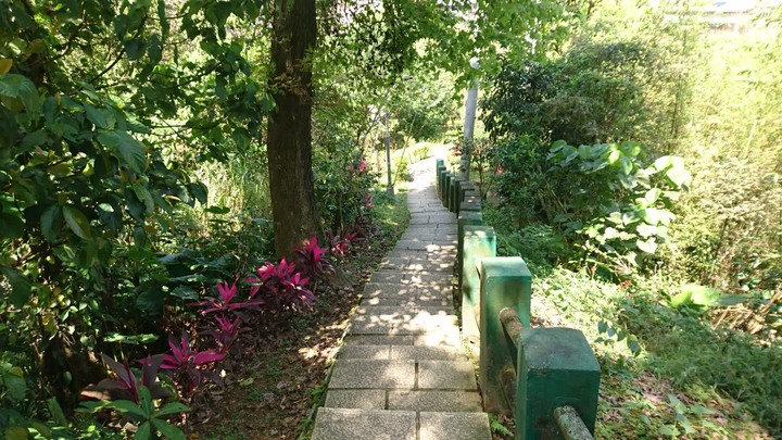 [樂山童盟] [台北文山] 仙跡岩登山步道（景興路243巷登山口-景美山“溪子口山”-麥田山莊登山口）