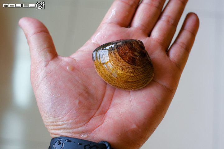 [ 臨時料理 ] 蒜酒蛤蜊 10分鐘就上菜